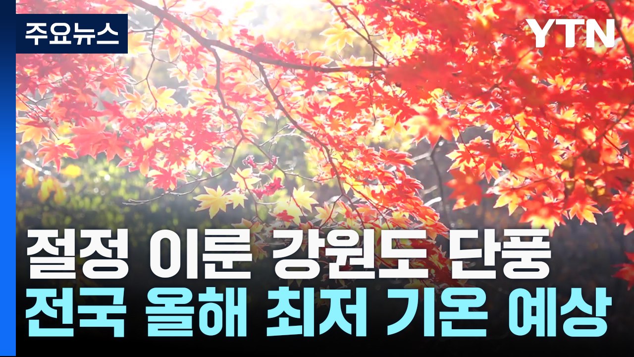 절정 이룬 강원도 단풍, 내륙도 확산...주말 초겨울 추위 / YTN
