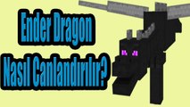 Minecraft 1.9 Ender Ejderhasını Nasıl Canlandırılır ? ( Ender Dragon )