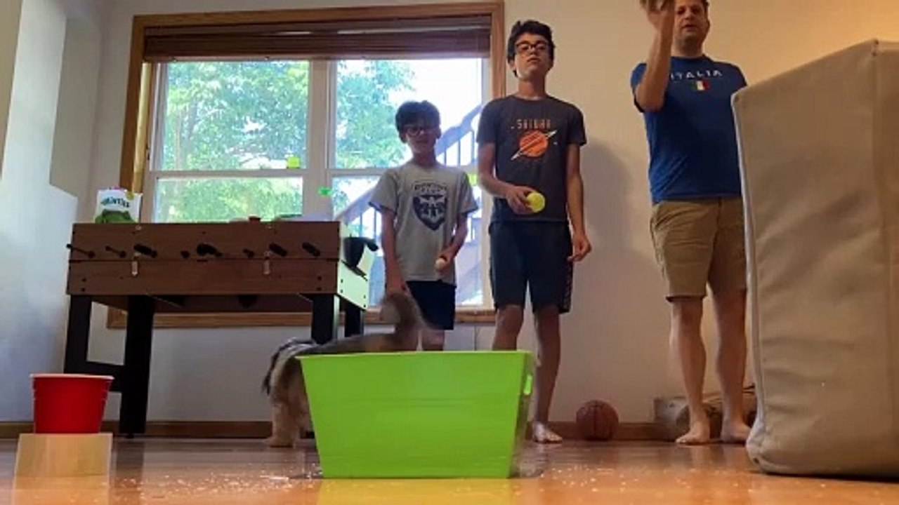 Our First 3 for 3