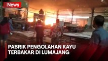 Limbah Serbuk Diduga Jadi Pemicu Kebakaran Pabrik Pengolahan Kayu di Lumajang