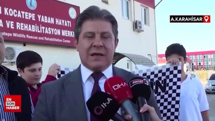 Tedavileri tamamlanan orman kartalı ve şahin doğaya salındı