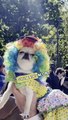 Parade d'Halloween avec des chiens à New York