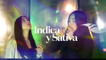 Indica y Sativa | Pachecos Funcionales