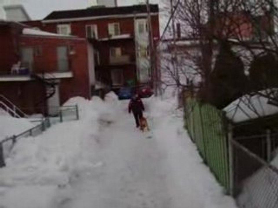 ballon qui saute les bancs de neige .
