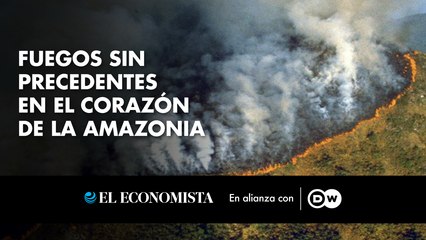 Fuegos sin precedentes en el corazón de la Amazonia