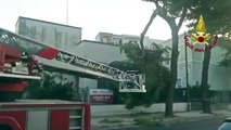 Lecce, grossi rami rischiano di cadere sulle auto a causa del vento intervengono i vigili del fuoco