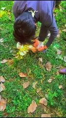 Program to war gaya #wargaya #sherafzal #funny #pakistan #vlog