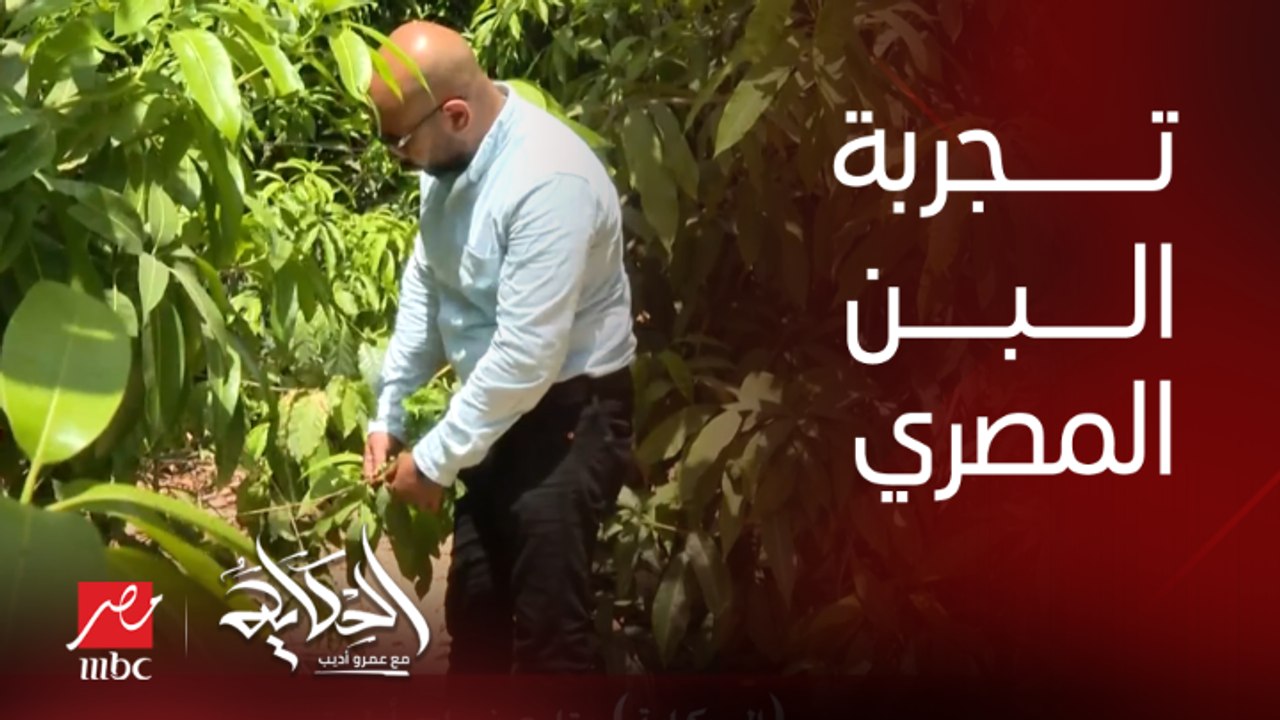 الحكاية يتابع نجاح أول تجربة لزراعة البن بالإسماعيلية