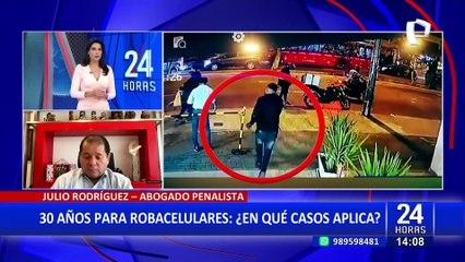 Julio Rodríguez: "30 años de cárcel por robar celulares es una medida populista"