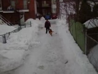 oups ! ont saute  le banc de neige !