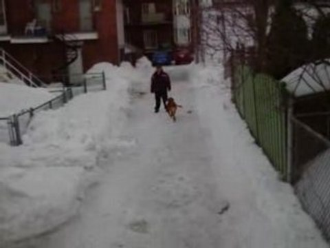 oups ! ont saute le banc de neige !