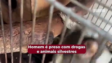 Polícia prende homem, apreende drogas e animais silvestre