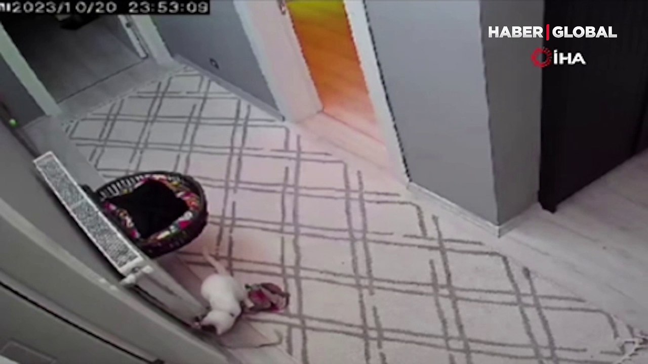 İzmir'deki deprem anı kamerada! Beşik gibi sallandı