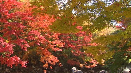 [날씨] 때 이른 추위...일부 얼음·서리, 바람 불어 서늘해요! / YTN