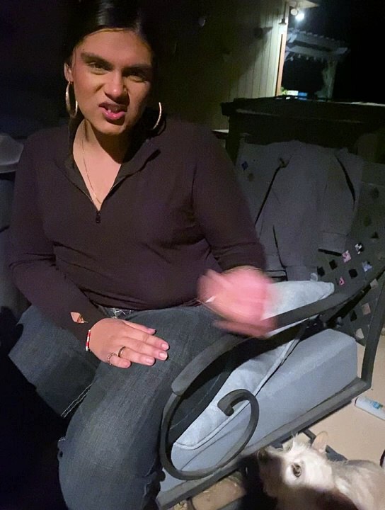 Un rassemblement inclusif pour les chiens handicapés