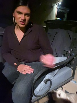 Un rassemblement inclusif pour les chiens handicapés