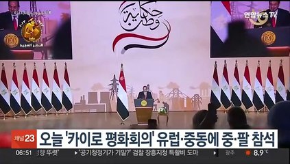 오늘 '카이로 평화회의' 유럽·중동에 중·팔 참석