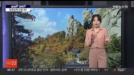 [날씨쏙 과학쏙] 빨갛게 노랗게 다른 단풍 색깔 왜?…단풍 명소는 이곳!