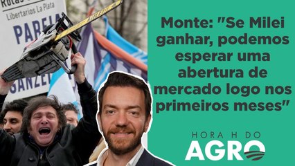 Eleição na Argentina: o que vai mudar no país vizinho com um novo presidente? | HORA H DO AGRO