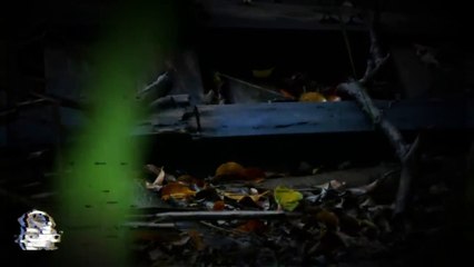 EL NAHUAL DE SAN JOSE (Historias De Terror)