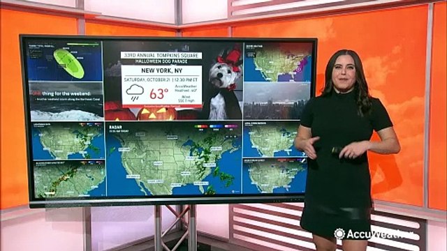 Your Howl-o-ween forecast for this weekend's dog-focused Halloween events