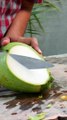 SnapInsta.io-fantastic coconut peeling style