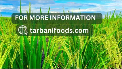 Indian Rice Exporters List in 2023