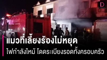 แมวร้องไม่หยุด ลุกขึ้นมาดู ช็อก!! ไฟกำลังไหม้ | HOTSHOT เดลินิวส์ 21/10/66