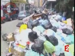 La mozzarella victime des poubelles de Naples