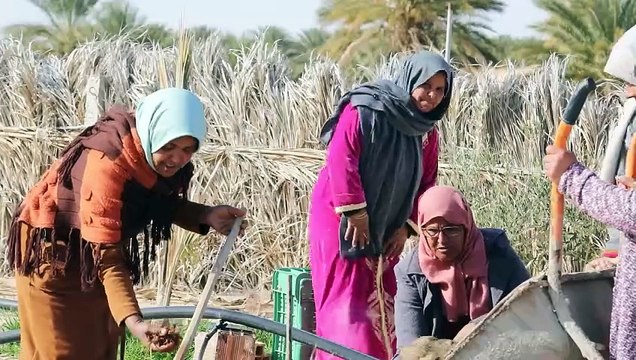 ألو نفزاوة: مجمع المرأة و النخيل