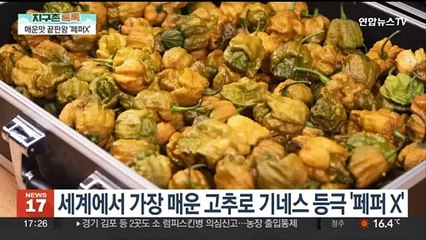 [헤이!월드] 곤경에 처한 사슴을 구해준 건…나무꾼? 아니 경찰관! 外