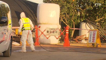 당진·평택 소 럼피스킨병 추가 확진...곳곳 의심 신고 / YTN