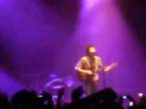BB brunes a Nantes Marleiine *