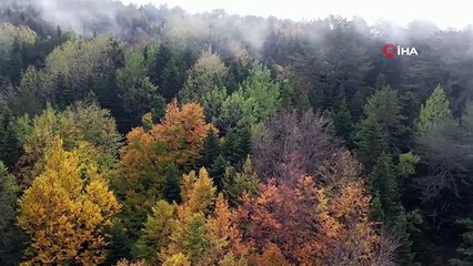 Uludağ'da Sonbahar Şöleni