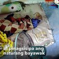 Delikadong hayop, ginambala ang pagtulog ng isang pamilya | GMA Integrated Newsfeed