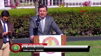 Yarış atı 'Özgünhan'ın yavrusuna rekor fiyat