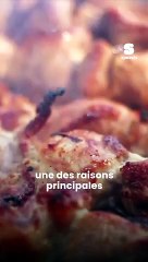 ⚠️ Nouveau scandale alimentaire ?