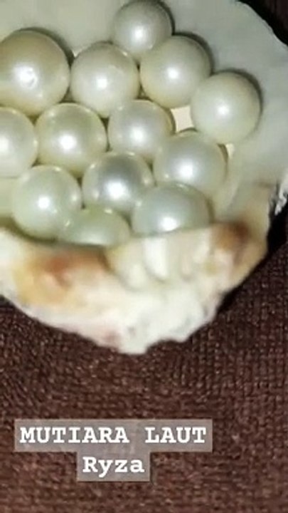 MUTIARA_LAUT