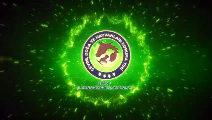 Bıldırcın avlamak için kurulan düzeneği jandarma çökertti