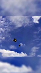 Unknown object in sky 