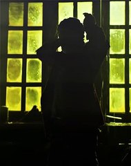 Jawan SRK Status �� _ Shahrukh Khan Edit