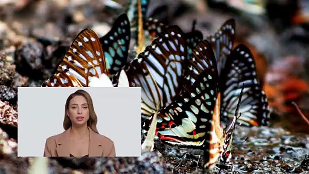 Taman Rama Rama Melaka