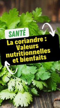La coriandre : Valeurs nutritionnelles et bienfaits