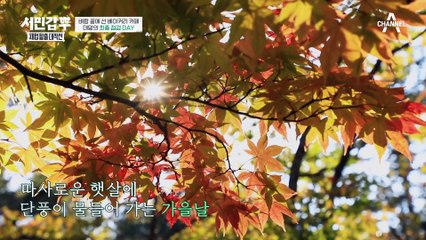 인★ 감성으로 재탄생한 베이커리 카페?! 가게의 변화에 깜짝 놀란 제이쓴과 은현장