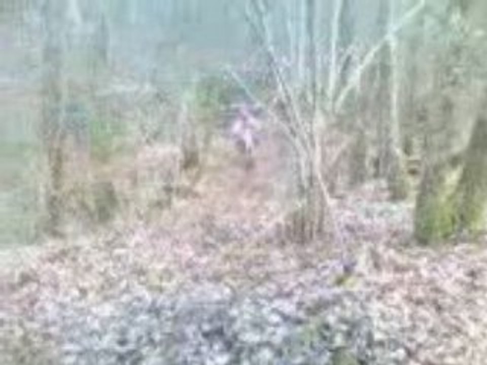 enduro