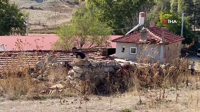 Bir aydır haber alınamayan adamdan acı haber: Kafası ve bacakları köy merkezinde bulundu