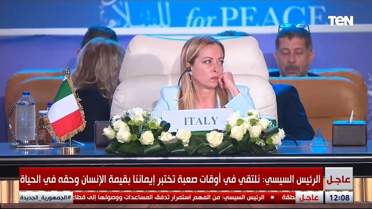 الرئيس السيسي: مصر انخرطت في جهود مضنية لتنسيق وإرسال المساعدات الإنسانية للمحاصرين في غزة
