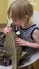 Iguana's Best Friend: A Heartwarming Display of Child's Kindness || Heartsome 