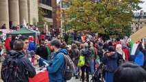 Sheffield Palestine Solidarity Campaign: Rally forms in city centre demanding ceasefire in violence