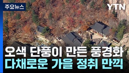 오색 단풍이 만든 풍경화..."다채로운 가을 만끽" / YTN